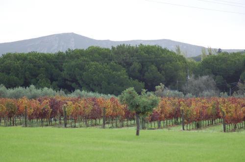 Quinta De Catralvos Hotel Azeitao Luaran gambar