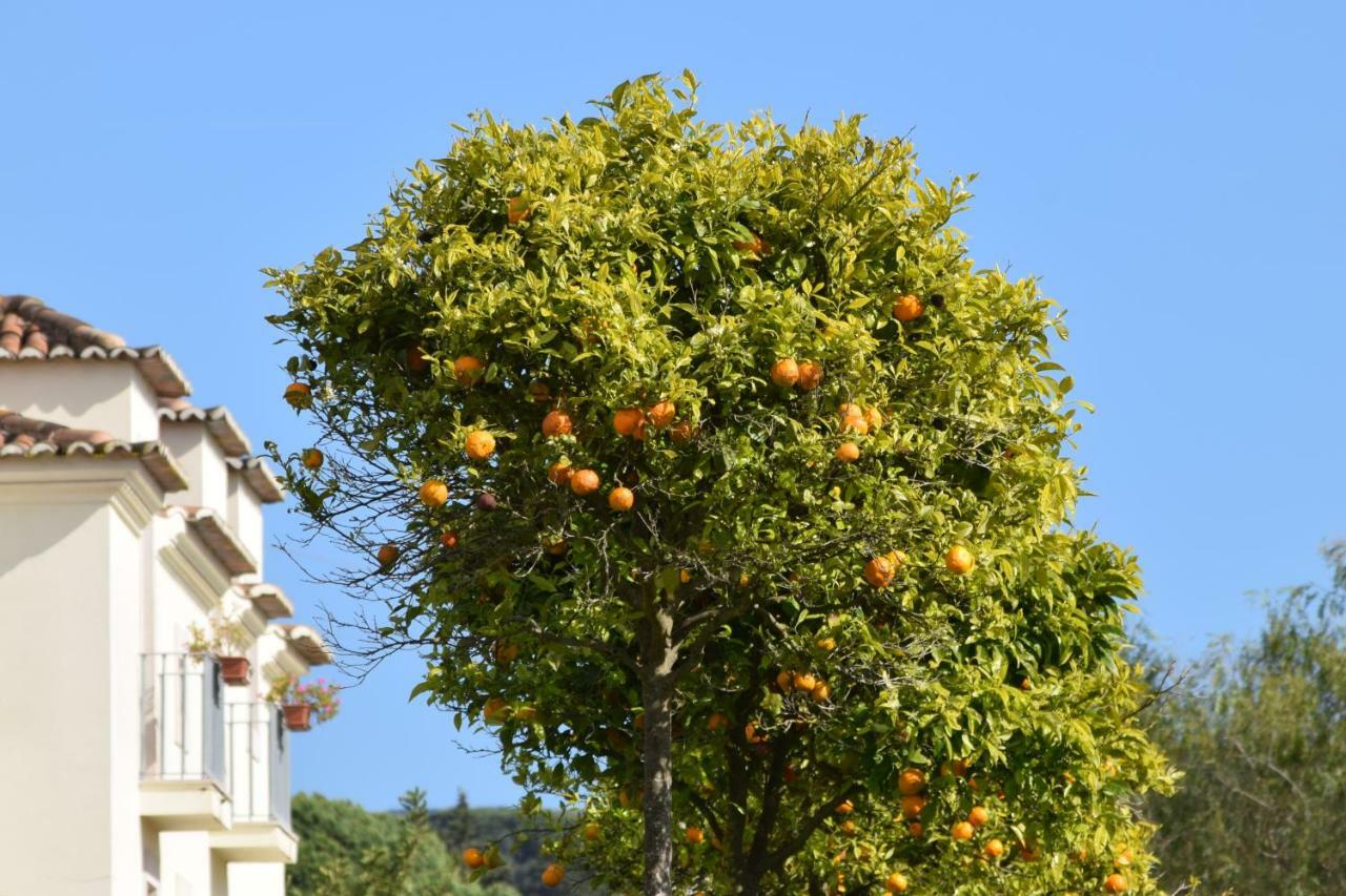 Quinta De Catralvos Hotel Azeitao Luaran gambar