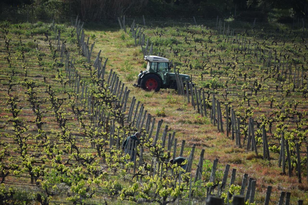 Quinta De Catralvos Hotel Azeitao Luaran gambar